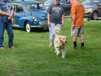 bm_20210925_car_show_20210925-140432