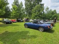 wp_202608_Picnic_20260801-000002